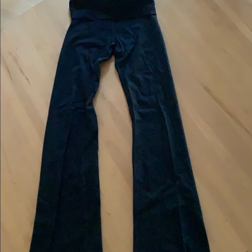 Hard Tail yoga pants